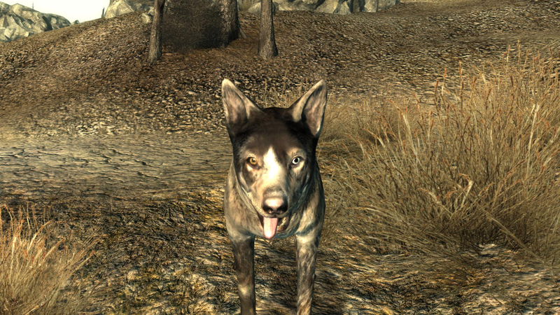 Illustration for article titled Fallout 3 vs Fallout 4: así evoluciona un juego en 7 años de desarrollo